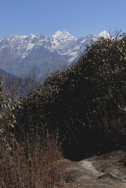 Upper Helambu Circuit Trek